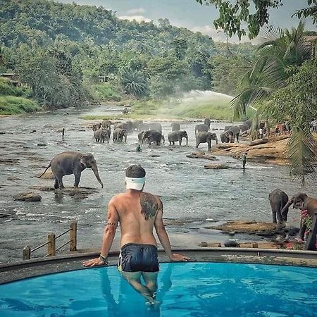 Hotel Elephant Bay Пиннавела Экстерьер фото