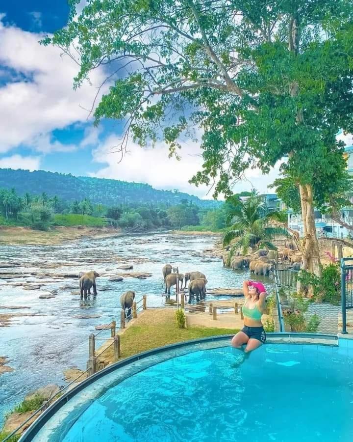 Hotel Elephant Bay Пиннавела Экстерьер фото