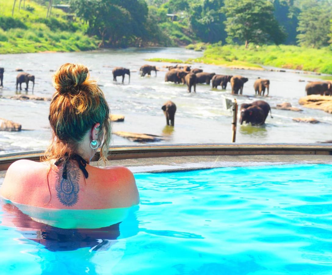 Hotel Elephant Bay Пиннавела Экстерьер фото