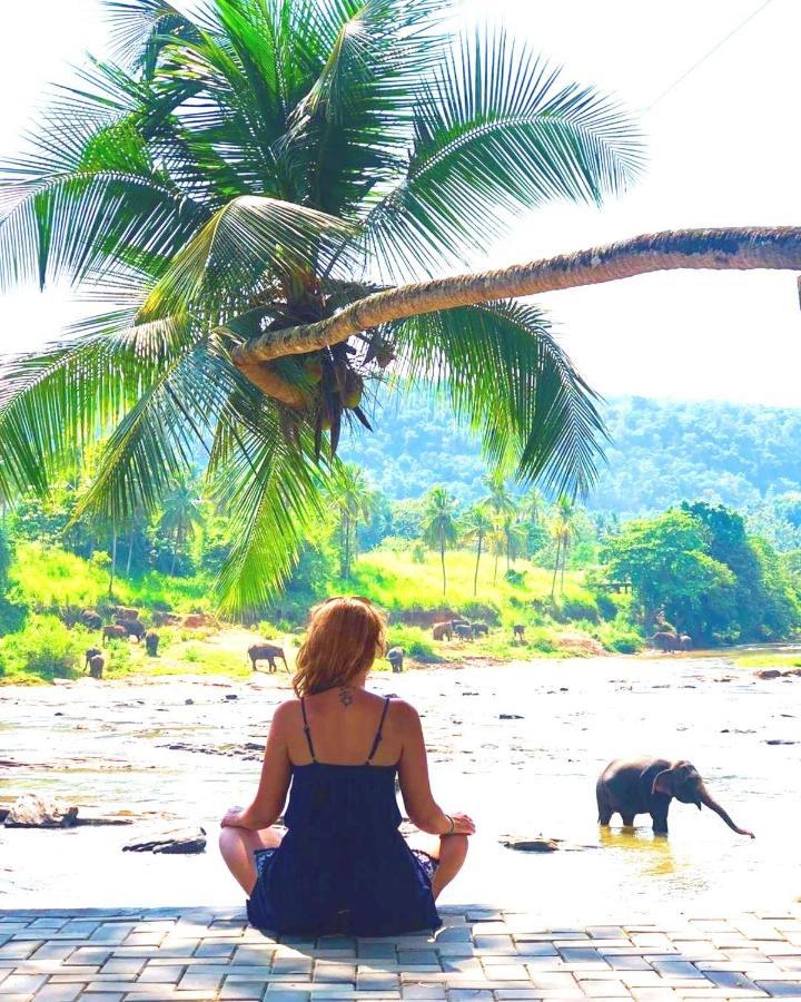 Hotel Elephant Bay Пиннавела Экстерьер фото