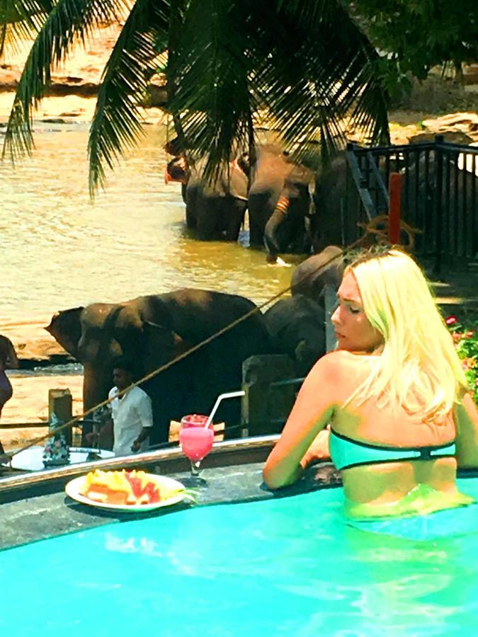 Hotel Elephant Bay Пиннавела Экстерьер фото
